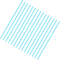 R-Vision Agency