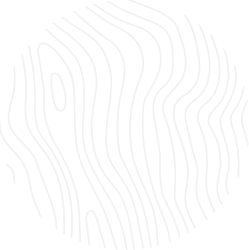 R-Vision Agency